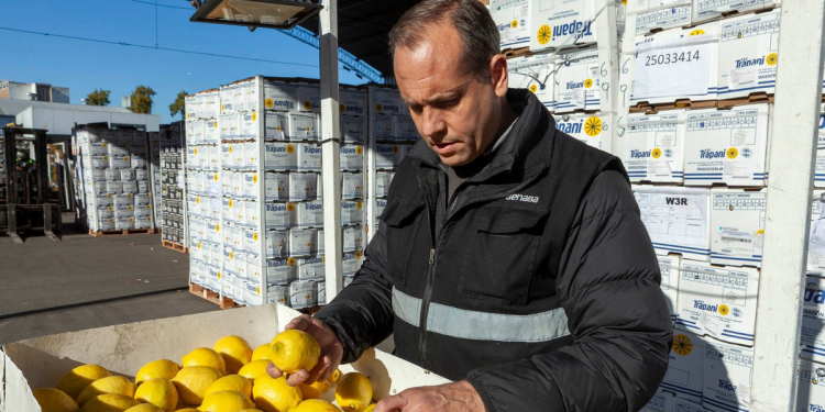 Cambio en el control de alimentos: el Gobierno disolvió la CONAL y sus funciones pasarán al ANMAT y el SENASA