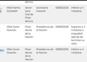 Cuestionan a Milei por un premio de un millón de dólares: «¿Lavó un palo verde?»