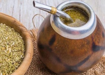 De cicatrizar heridas a estimular el sistema nervioso: los beneficios de la yerba mate
