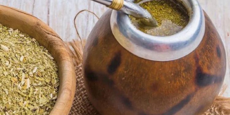 De cicatrizar heridas a estimular el sistema nervioso: los beneficios de la yerba mate