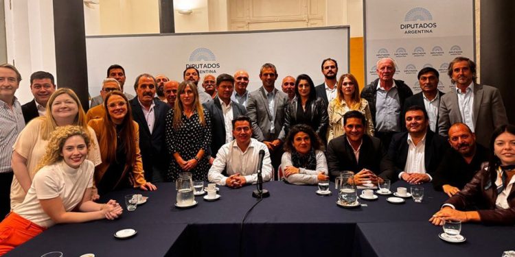 Diputados dictaminó los cambios para destrabar la comisión investigadora de la criptoestafa que involucra a Milei