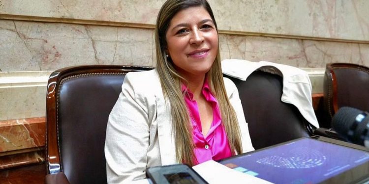 Empresaria vinculada a Bullrich y Arietto emitió cheques sin fondo por $ 500 millones