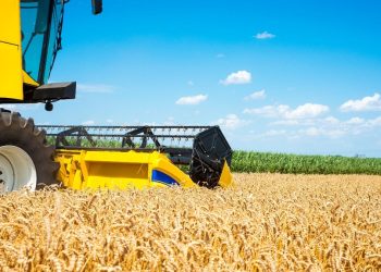 ENACOM anunció un sistema exclusivo para que las grandes industrias desplieguen redes privadas 4G y 5G