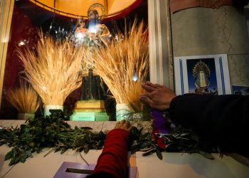 Espigas y lucha: lo que San Cayetano te da, Milei te lo quita