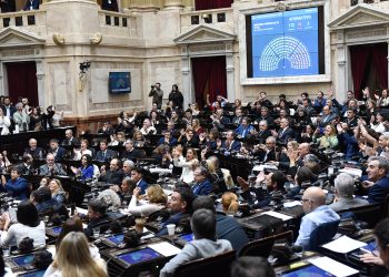 La oposición en Diputados rechazó el veto a la ley de emergencia en discapacidad