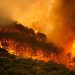 Ola de calor en España: más de 1.100 muertes y récord de superficie arrasada por incendios