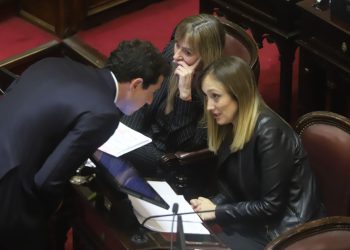Senado: la oposición apura la Emergencia para el Garrahan y la ley de Financiamiento Universitario