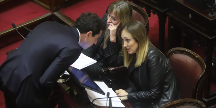 Senado: la oposición apura la Emergencia para el Garrahan y la ley de Financiamiento Universitario