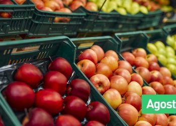 Evolución de precios de hortalizas y frutas en el Mercado Central de Buenos Aires y en grandes cadenas de supermercados: datos a agosto 2025