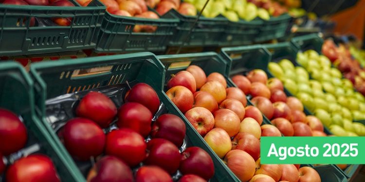 Evolución de precios de hortalizas y frutas en el Mercado Central de Buenos Aires y en grandes cadenas de supermercados: datos a agosto 2025