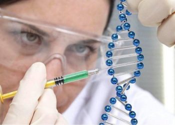 Carreras STEM: expertos afirman que los entornos laborales aún limitan la participación femenina