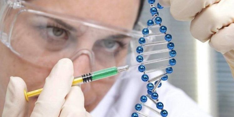 Carreras STEM: expertos afirman que los entornos laborales aún limitan la participación femenina