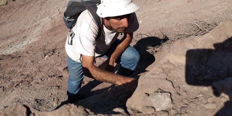 Descubren restos de dinosaurios velociraptores con plumas y de un cocodrilo “temible”