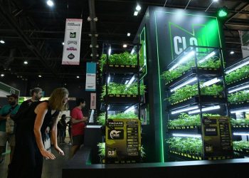 Expo Cannabis 2025, una feria que va desde la cata de café a los hongos medicinales