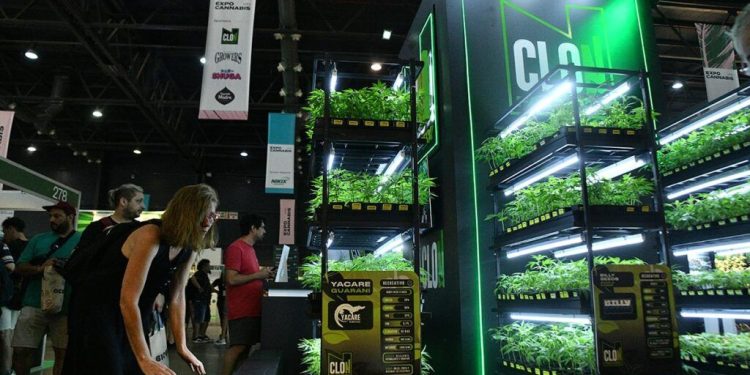 Expo Cannabis 2025, una feria que va desde la cata de café a los hongos medicinales