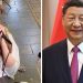 China busca regular la desinformación: los influencers deberán mostrar un título para opinar de temas sensibles en redes sociales