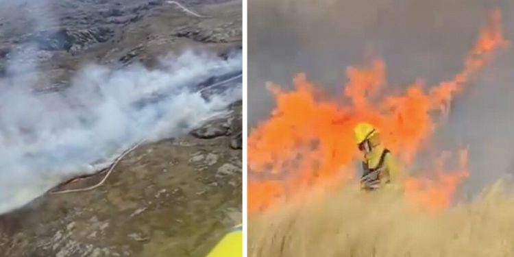 Combaten un impresionante incendio en el Parque Nacional Quebrada del Condorito en Córdoba