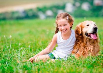 ¿Cómo sería el mundo si los perros hablaran? La IA responde esta gran duda