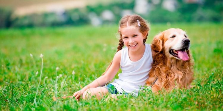 ¿Cómo sería el mundo si los perros hablaran? La IA responde esta gran duda