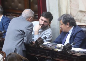 Dividida y diezmada: la opción que encontró la UCR para no desaparecer del mapa
