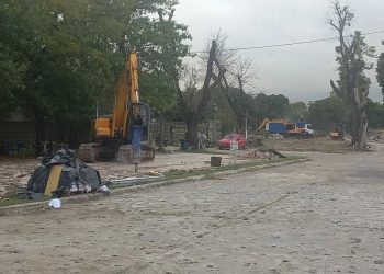 Parque Uriburu: tras casi 15 años de abandono, exigen plantar cien árboles para subsanar el lugar