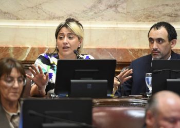 Gadano impulsa una ley para proteger la barrera sanitaria patagónica y exige explicaciones por la Resolución 460/2025 del SENASA