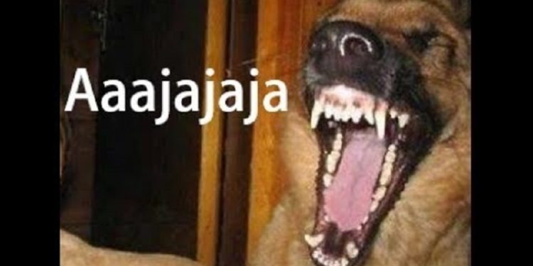 Zdero no se recupera de su victoria pírrica por solo 3.000 votos usando toda la estructura del estado ¿y vos comes las cuatro comidas?