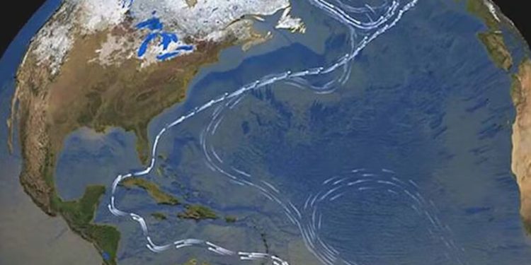 COP30 de Brasil: una cumbre incierta, pero imprescindible para la acción climática