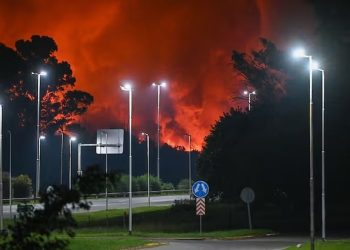 Incendio en Ezeiza: confirman que aún quedan focos activos y que cinco industrias quedaron afectadas