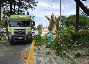La Ciudad recibió un “premio trucho” por “su compromiso con los parques y plazas” y desató fuertes críticas