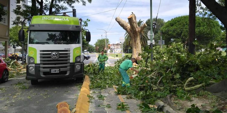 La Ciudad recibió un “premio trucho” por “su compromiso con los parques y plazas” y desató fuertes críticas