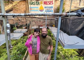 Presta su casa para que los presos por cultivar marihuana cumplan sus domiciliarias