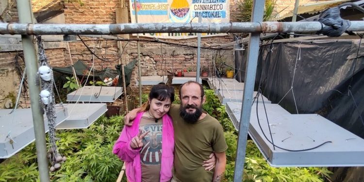 Presta su casa para que los presos por cultivar marihuana cumplan sus domiciliarias