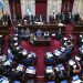 Senado: la oposición se prepara para su última sesión antes del recambio legislativo