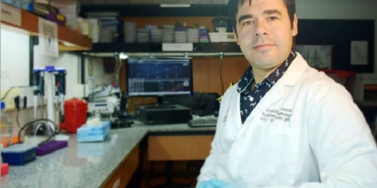 Bacterias en las vías aéreas de los bebés pueden anticipar la evolución de la bronquiolitis