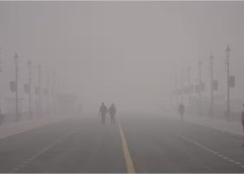 Alerta roja en Nueva Delhi: una nube tóxica plantea riesgos de salud