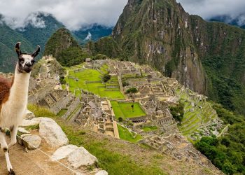 Dos trenes de turistas chocaron rumbo a Machu Picchu: al menos 15 heridos y uno de gravedad