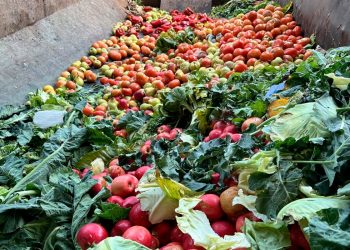 La verdadera grieta en el agro está entre los ganadores y perdedores del modelo económico de Milei