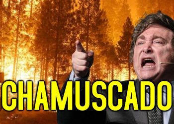 Hasta el pañal: Está prendido fuego Milei y crece la protesta social ¿estamos en el estallido ya…?