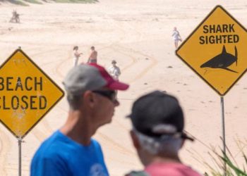 Australia clausuró varias playas tras distintos ataques de tiburón en plena temporada