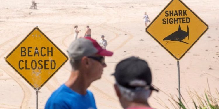 Australia clausuró varias playas tras distintos ataques de tiburón en plena temporada