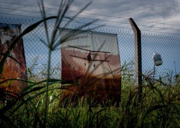 Cómo un plaguicida puede afectar el tratamiento del cáncer de mama