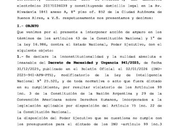 Diputados de la Coalición Cívica y Encuentro Federal presentaron un amparo para frenar a la “nueva SIDE”