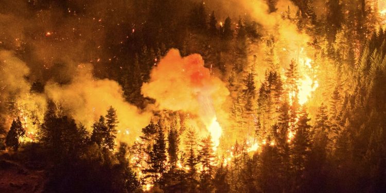 Diputados presentaron un proyecto para declarar la emergencia en la zona patagónica afectada por incendios forestales