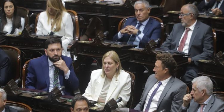 DNU de la SIDE: diputados reclaman la conformación de comisiones para debatir el decreto en el Congreso