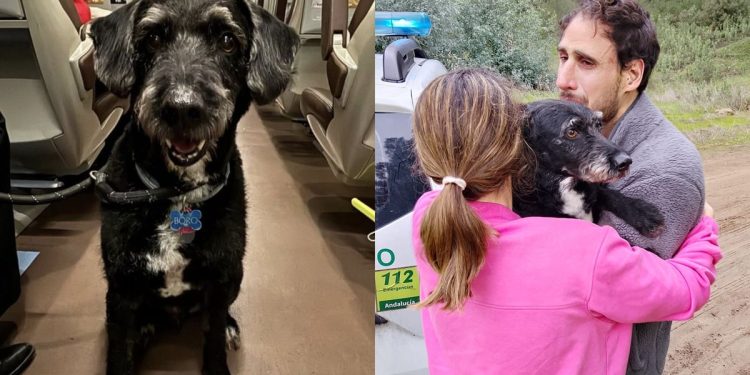 El emotivo de reencuentro de Boro con su familia que conmovió a toda España tras el accidente de trenes en Adamuz