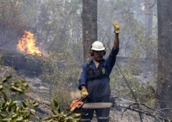 Fuego en la Patagonia: brigadas comunitarias y vecinos organizados sostienen lo que el Gobierno abandona