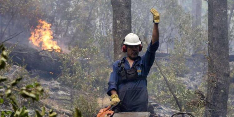 Fuego en la Patagonia: brigadas comunitarias y vecinos organizados sostienen lo que el Gobierno abandona