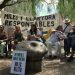 Histórico juicio contra ambientalistas en Córdoba: “Al que lucha lo meten preso”