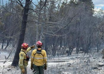 Incendios en el Sur: el fuego avanza ahora sobre Cholila y está fuera de control